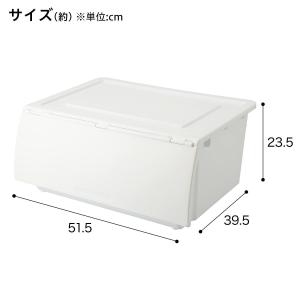 収納ケース レギュラー(N-FL ホワイト) ニトリの詳細画像1