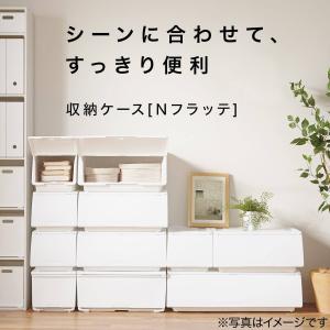 収納ケース レギュラー(N-FL ホワイト) ニトリの詳細画像2