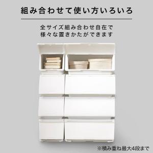 収納ケース レギュラー(N-FL ホワイト) ニトリの詳細画像5