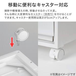 収納ケース フィッツケース奥行40cm(幅35...の詳細画像5