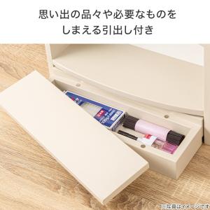 ペット用(メモリアルハウス) ニトリの詳細画像4