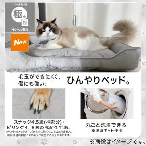 ペット敷パッド L(Nクール極冷 K03) ニトリの詳細画像1