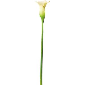 QLフラワー(カラーWH 1Pcs) ニトリ 『1年保証』 『玄関先迄納品』