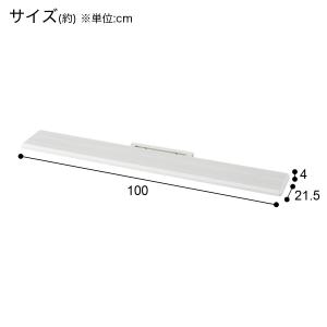 壁寄せテレビスタンド専用 追加棚板(トエル サ...の詳細画像5