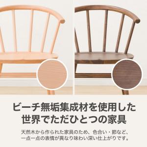 ダイニングチェア (NコレクションC-53 M...の詳細画像2