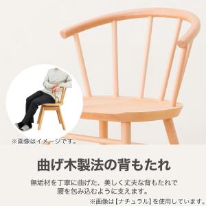 ダイニングチェア (NコレクションC-53 M...の詳細画像3