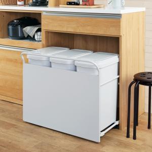 ニトリの「RGダストワゴン（30L ツイン／ブラック）」 ニトリ RGダストワゴン(30L ブラックツイン) ゴミ箱 ごみ箱 ペール