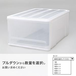 クローゼットケース セレスFD (M/高さ25...の詳細画像1