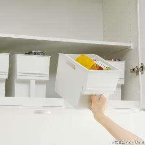 トトノ吊り戸棚用マルチストッカ-(レギュラ-)...の詳細画像3