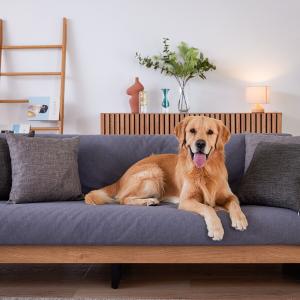 ニトリ（NITORI） 3人用布張りソファIG01専用カバー(DGY) : ニトリ