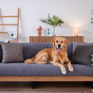 ニトリ（NITORI） ペット対応らくらくカバー(ごろ寝ソファ幅199cm専用