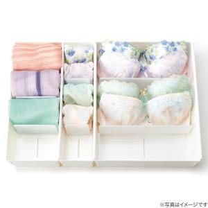 さっと取り出し靴下ケース(ST01 S) ニトリの詳細画像4