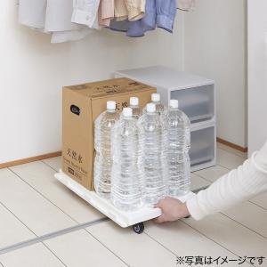 連結キャリー (RC) ニトリの詳細画像4