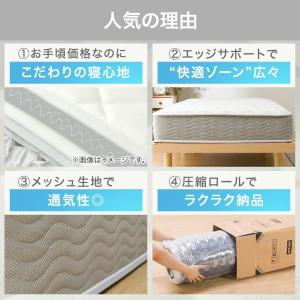 シングル 圧縮ポケットコイルマットレス (RX...の詳細画像2