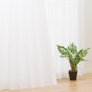 ニトリ 昼 外から見えにくい遮熱レースカーテン（ボイル 100X176X2