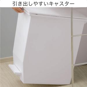 棚下ペダルペール 45L(GY) デコホーム ニトリの詳細画像2