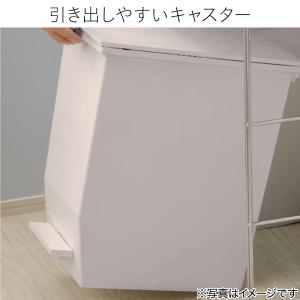 棚下ペダルペール 45L(GY) デコホーム ニトリの詳細画像5