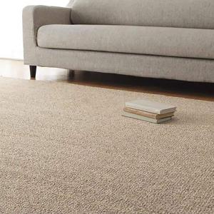 ニトリ（NITORI） 防音・防炎・抗菌防臭・防ダニカーペット(N