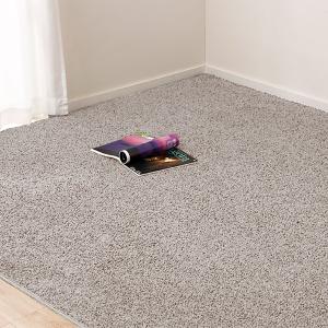 ダニよけ・抗菌防臭・防炎カーペット(エアープラスWGY 200X250) ラグ 江戸間 3.2畳 ニトリ