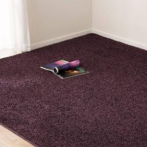 ニトリ（NITORI） ダニよけ・抗菌防臭・防炎カーペット(エアープラス