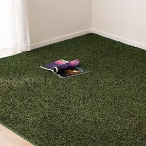 ダニよけ・抗菌防臭・防炎カーペット(エアープラスYGR 200X300) ラグ 江戸間 3.9畳 ニトリ｜nitori-net