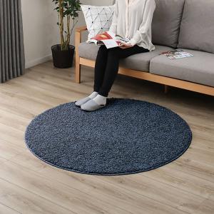 ニトリ ダニよけ・抗菌防臭・防炎カーペット(エアープラスRPU