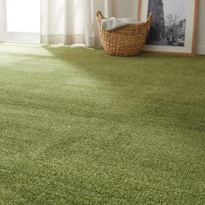 抗菌防臭カーペット(KSシャギー GR 4.5J) ニトリ