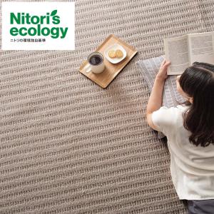 ニトリ（NITORI） 防音・防炎・抗菌防臭・防ダニカーペット(N