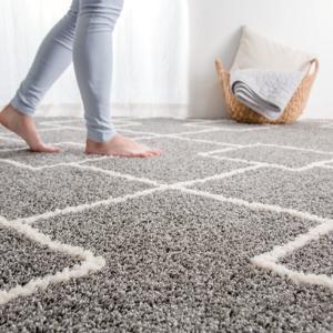 ダニよけ・抗菌防臭・防炎カーペット(エアープラスWGYキカ200x250) ラグ 江戸間 3.2畳 ニトリ｜nitori-net