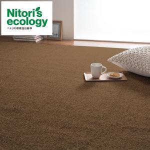 ニトリ（NITORI） 防音・防炎・抗菌防臭・防ダニカーペット(N