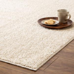 ニトリ（NITORI） 防音・防炎・抗菌防臭・防ダニカーペット(N