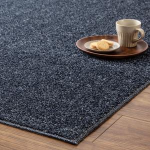 ニトリ（NITORI） 防音・防炎・抗菌防臭・防ダニカーペット(N