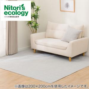 ニトリ（NITORI） 防音・防炎・抗菌防臭・防ダニカーペット(N