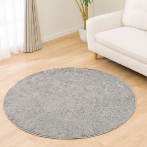 ニトリ（NITORI） ほこりが取れやすい洗えるラグ(130R RO SR002