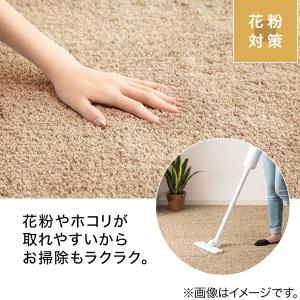 ラグ ラグマット カーペット ほこりが取れやす...の詳細画像3
