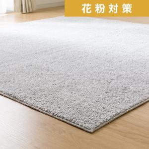 値下げしました【新品】ニトリ ほこりがとれやすい洗えるラグ 200X240 BE ニトリ ほこりがとれやすい洗えるラグ(200X240 LGYSR002