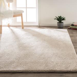 ニトリ アクセントラグ( NウィンザGY 160X235) 無地 おしゃれ