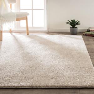 ニトリ（NITORI） アクセントラグ( NウィンザBE 200X285) 無地