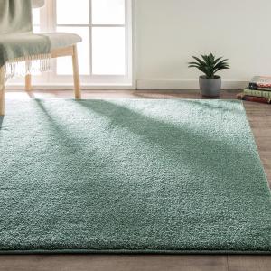 ニトリ アクセントラグ( NウィンザGR 200X285) 無地 おしゃれ