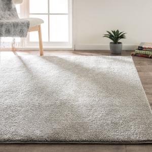 ニトリ アクセントラグ( NウィンザGY 200X285) : ニトリ Yahoo!店