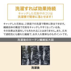 PM2.5対策・遮熱・遮像レースカーテン(キャ...の詳細画像5