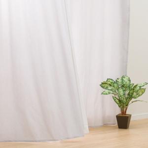 Nitori カーテン アイボリー ニトリ（NITORI） 既製カーテン(CT01 アイボリー 110X110X2) 2枚