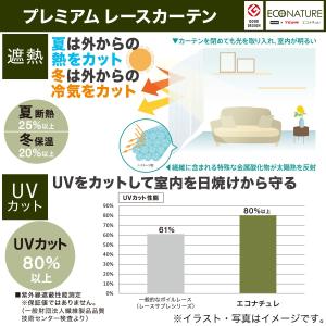 遮熱・遮像・採光レースカーテン(エコナチュレプ...の詳細画像3