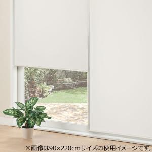 採光ロールスクリーン(アリエスWH 80X220) 幅80×丈220cm 正面付け 天井付け カーテンレール付け 間仕切り ニトリ｜ニトリ Yahoo!店