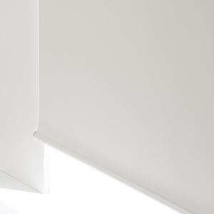 ニトリ（NITORI） 遮光ロールスクリーン(ドルフィンWH 180X220) 幅180