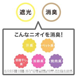 遮光・消臭ロールスクリーン(アクト IV 13...の詳細画像1