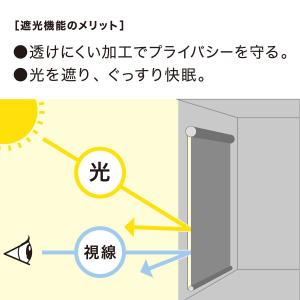 遮光・消臭ロールスクリーン(アクト IV 13...の詳細画像5
