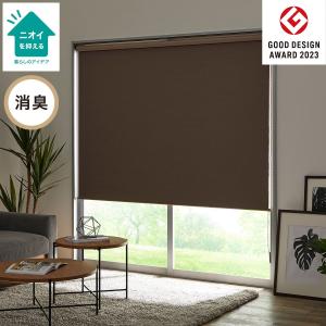 遮光・消臭ロールスクリーン(DS2 BR 130X220) 幅130×丈220cm 正面付け 