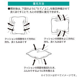 【期間限定価格:9/28まで】クッション 本体...の詳細画像5