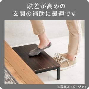 踏み台(ブレイス BR) ニトリの詳細画像2